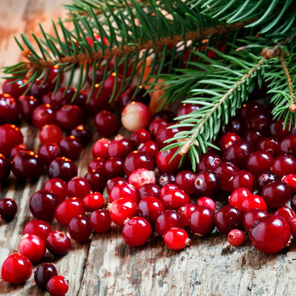 CRANBERRY WOODS SOY CANDLE